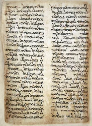 Pagina di testo dal Pentateuco. (Genesi, Esodo, Numeri, Deuteronomio), 464