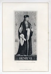 Enrico VII d