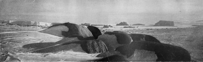 Blocchi di granito piallati da antichi ghiacciai a Cape Roberts, c1911, 1913