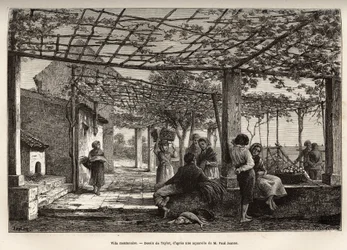 Villa Menton, incisione dal disegno di Taylor, che illustra il viaggio a Menton e Bordighera, nel 1871, di Adolphe Joanne, pubblicato in "Le tour du monde" 1874, a cura di Edouard Charton, edizione Hachette, Parigi. Collezione Selva