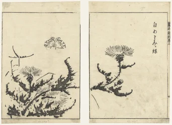Cardi e farfalla (Gahon shinkoku makiage)