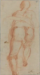 Un uomo visto da dietro (verso)