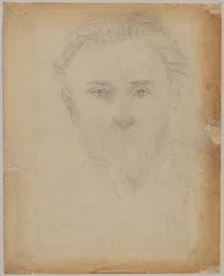 Studio di ritratto di un giovane uomo con barba