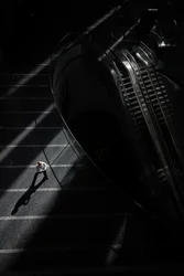 Luce e forma urbana