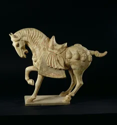 Cavallo, cinese, Dinastia Tang, c.618-906 d.C.