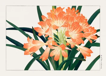 Fiore vintage di cliviminiata da "Seiyou Sokazufu