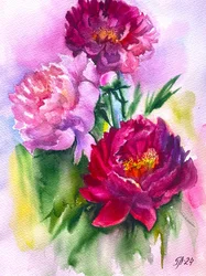 Fiori di peonia dai colori vivaci