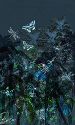 Tropici oscuri
