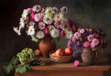 Aster colorati e frutta