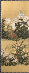 Fiori e farfalle