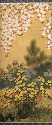 Fiori e farfalle