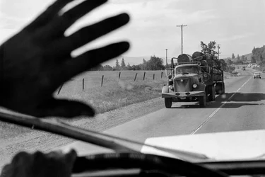 Autista in camion di legname saluta un altro camion di legname