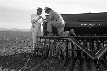 Agricoltore Ed Ker al Ranch A.M. Ker, coltivatore di erba medica