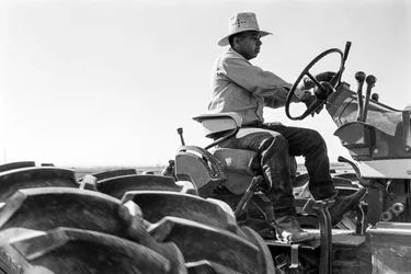 Agricoltore Ed Ker al Ranch A.M. Ker, coltivatore di erba medica