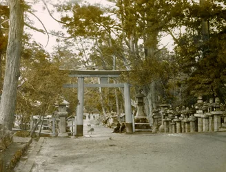 Ingresso del Santuario delle Lanterne nel parco Kasauga Taisha, Nara, 1900-1915 circa (fotografia)