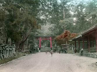 Ingresso del Santuario delle Lanterne nel parco Kasauga Taisha, Nara, 1900-1915 circa (fotografia)