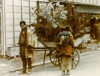 Venditore ambulante di fiori per le strade di Tokyo, 1900-1915 circa (fotografia)