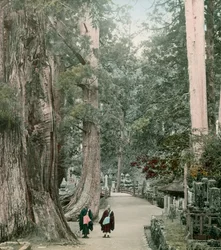Cimitero di Okuno-In sul monte Koya a Yamamoto, circa 1900 - 1915 (fotografia)
