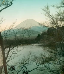 Vista del monte Fuji dal lago Shoji, circa 1900 - 1915 (fotografia)