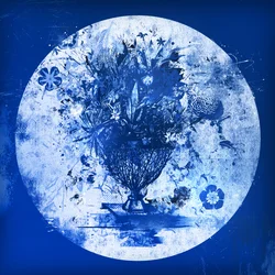 Bouquet in blu II