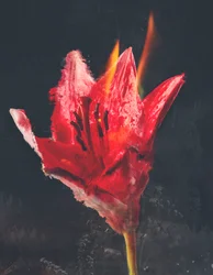Combustione
