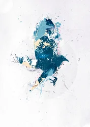 Prendi il volo