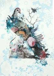 Wildness Rework