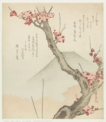 Monte Fuji e un prugno in fiore