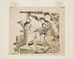 Immagine sconosciuta