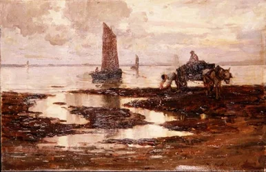 Serata tranquilla