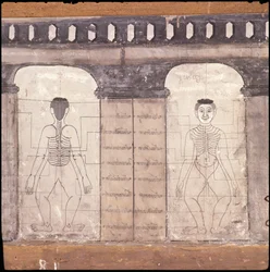 Rappresentazione dei punti di massaggio sul corpo umano (affresco)