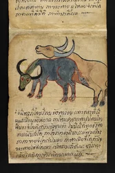 Or. 16482, f.15 Satra. Sulla divinazione e sui consigli per una vita felice e sana (libro pieghevole di carta)