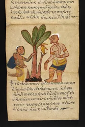 Or. 16482, f.21 «Satra»: Sulla divinazione e sui consigli per una vita felice e sana (libro pieghevole di carta)