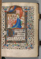 Libro d
