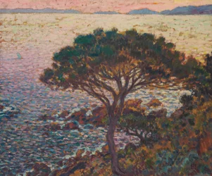 Cap Bénat, Pino sulla costa