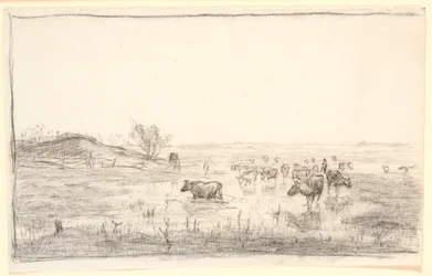 Mucche nei prati di Mejlgaard