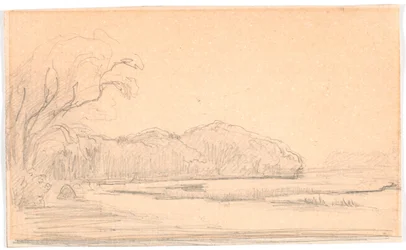 Paesaggio boscoso con lago