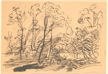 Paesaggio Forestale con Alberi Slanciati