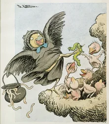 Ecco il cibo bambini