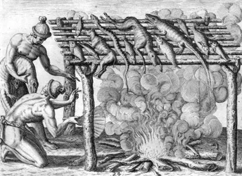 Indiani Timucua che essiccano il cibo