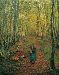 Interno del bosco con una ragazza che cerca funghi