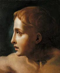 Testa di un giovane