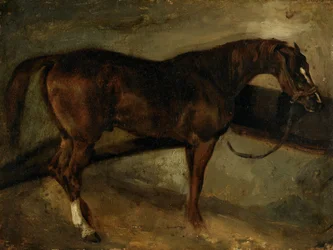 Cavallo marrone