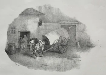 Cavallo da carrozza uscito dai limoni