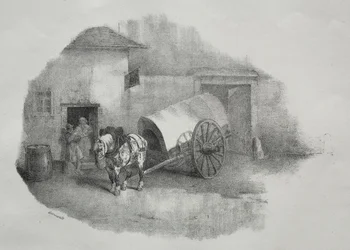 Cavallo da carrozza uscito dai limoni