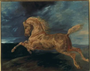 Cavallo spaventato dal fulmine