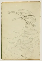 Studio compositivo, studi sul cavallo
