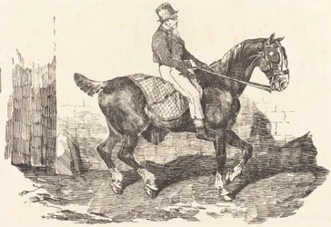 Cocchiere montato su un cavallo da carrozza