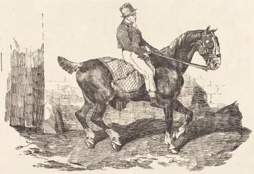 Groom in sella a un cavallo da carrozza (Cheval de carrosse monte par un palfrenier)