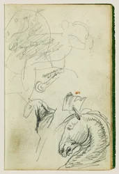Studi sui cavalli